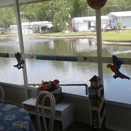 Oak Springs Rv Resort Port Richey Extérieur photo